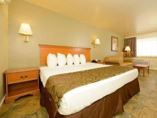 Best Western Padre Island Hotel Corpus Christi Room photo